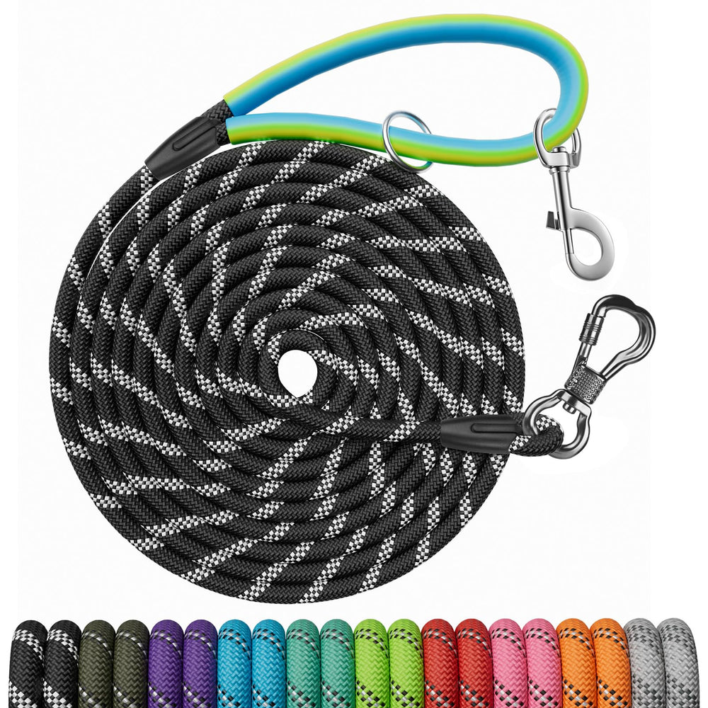 NTR dog leash with dual swivel hooks for confident recall training outdoors.