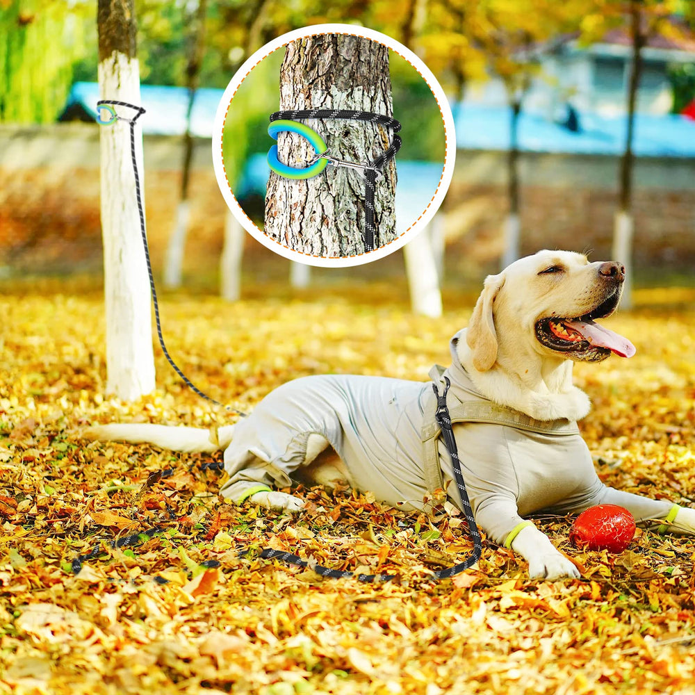 NTR dog leash supports outdoor adventures like hiking and camping.