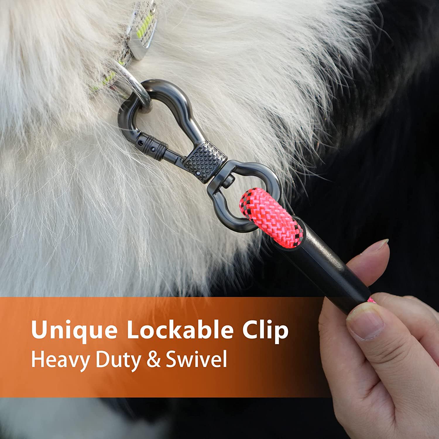 NTR Dog Long Leash pink featuring two swivel hooks for versatile anchor setups.