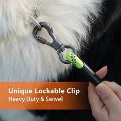 NTR heavy duty dog leash padded handle for comfortable, long-walk grip.