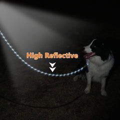 NTR leash padded EVA handle provides comfortable grip during long walks.
