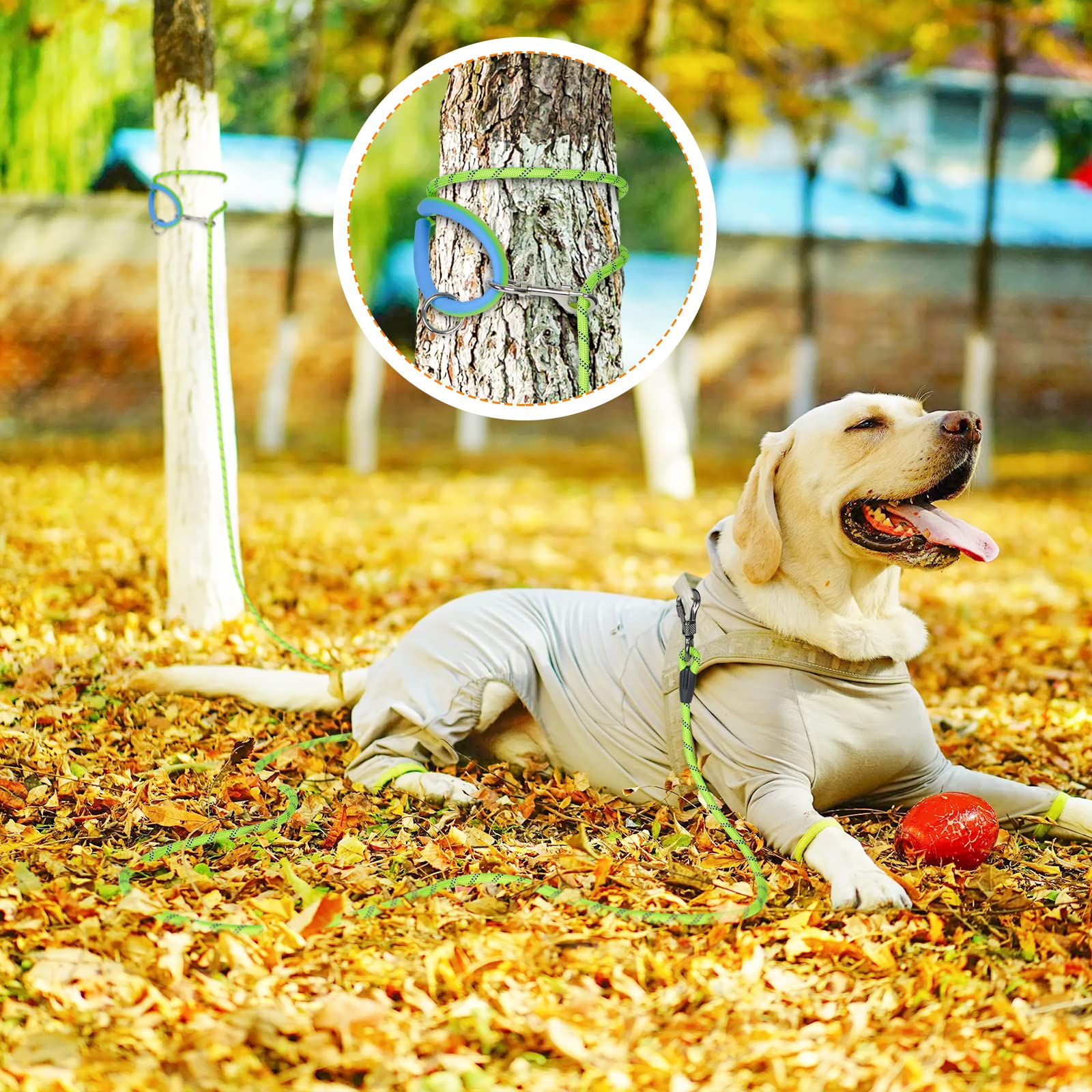 NTR-long-leash-bone-hook-lock shows lockable bone-hook for secure tethering