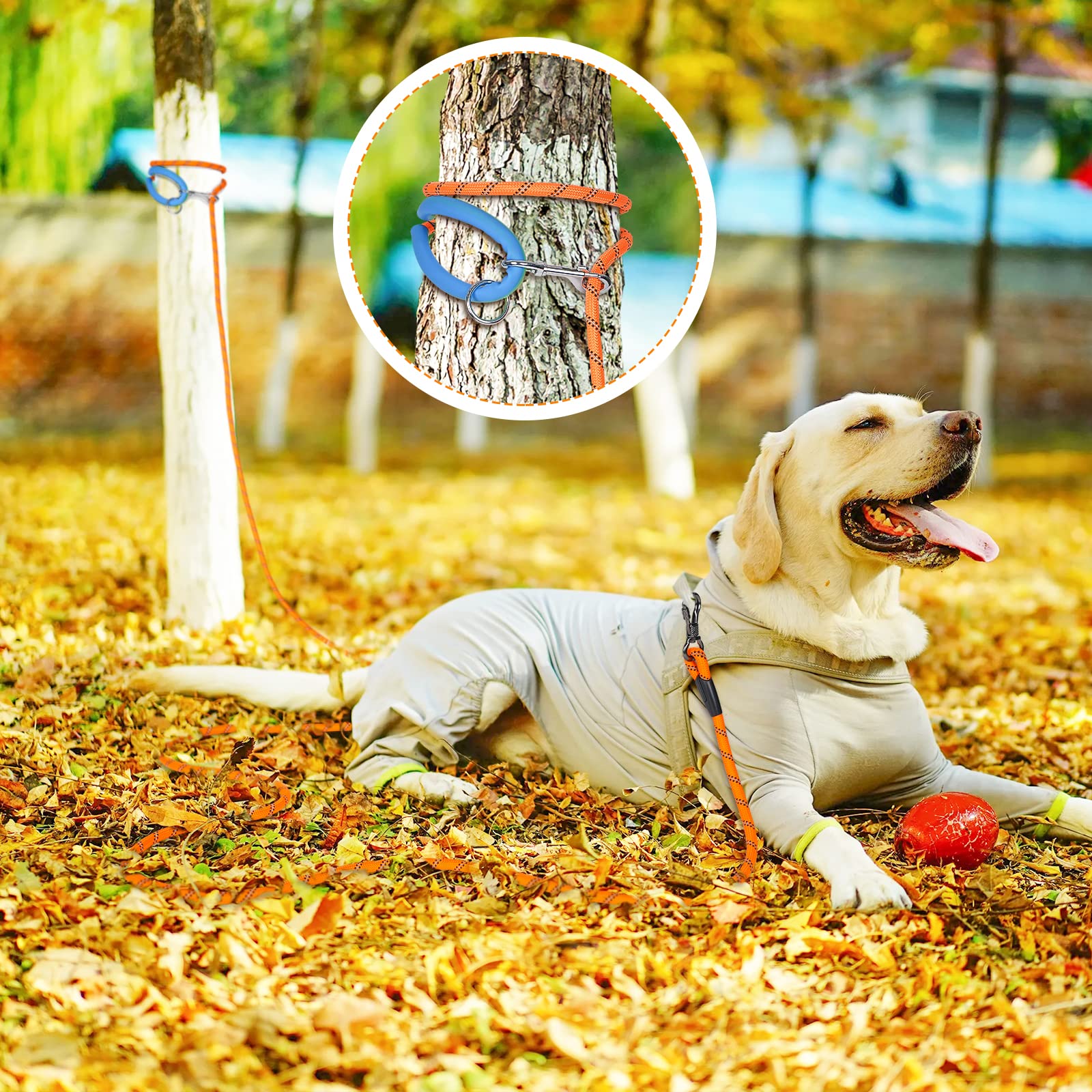 NTR leash with reflective visibility aids night safety during adventures