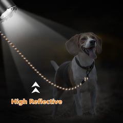 NTR leash features reflective thread for safer nighttime visibility
