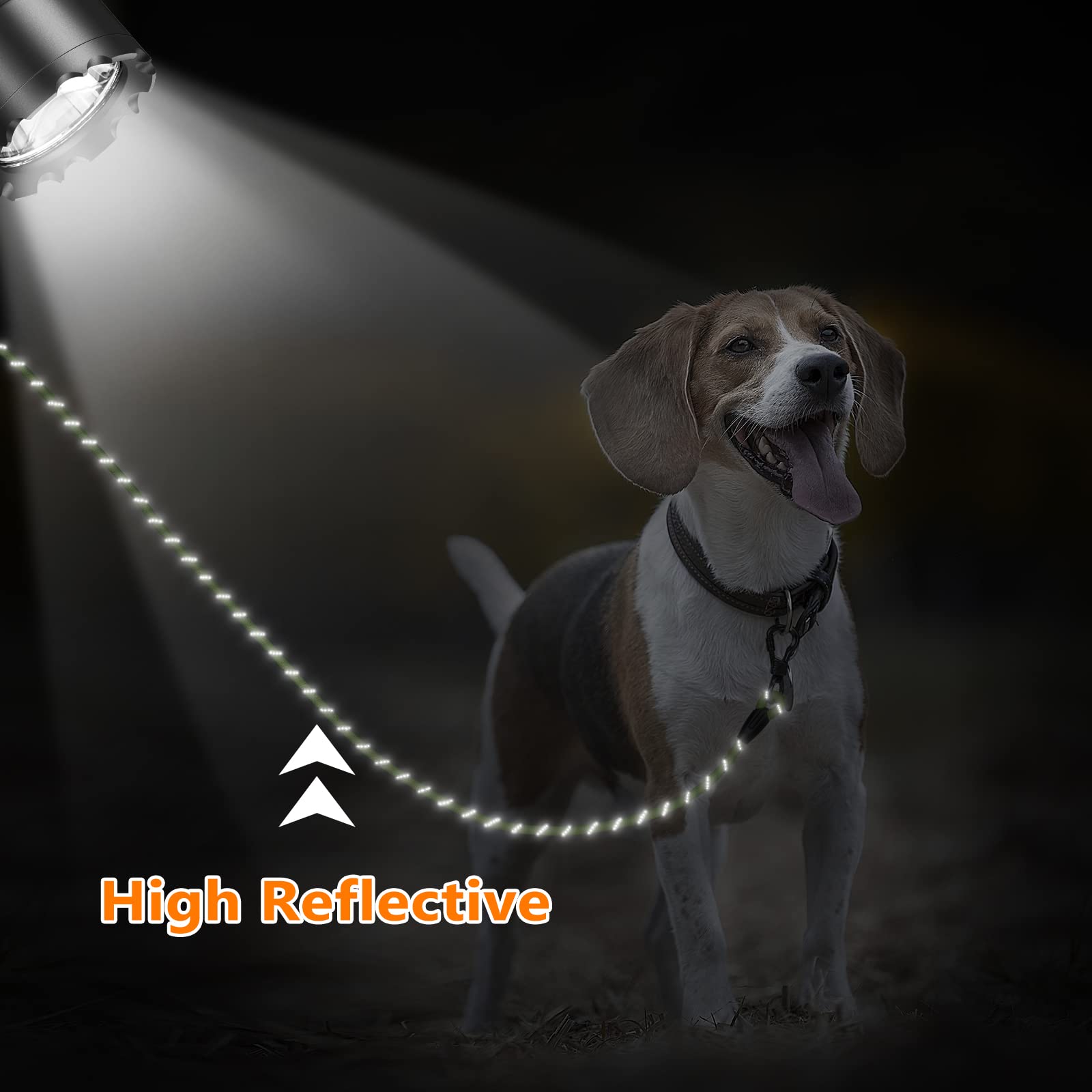 NTR reflective-thread leash improves night visibility for safer evening walks