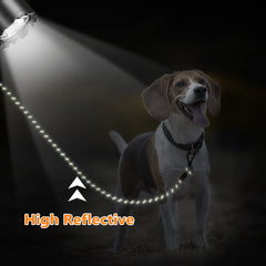 NTR reflective-thread leash improves night visibility for safer evening walks