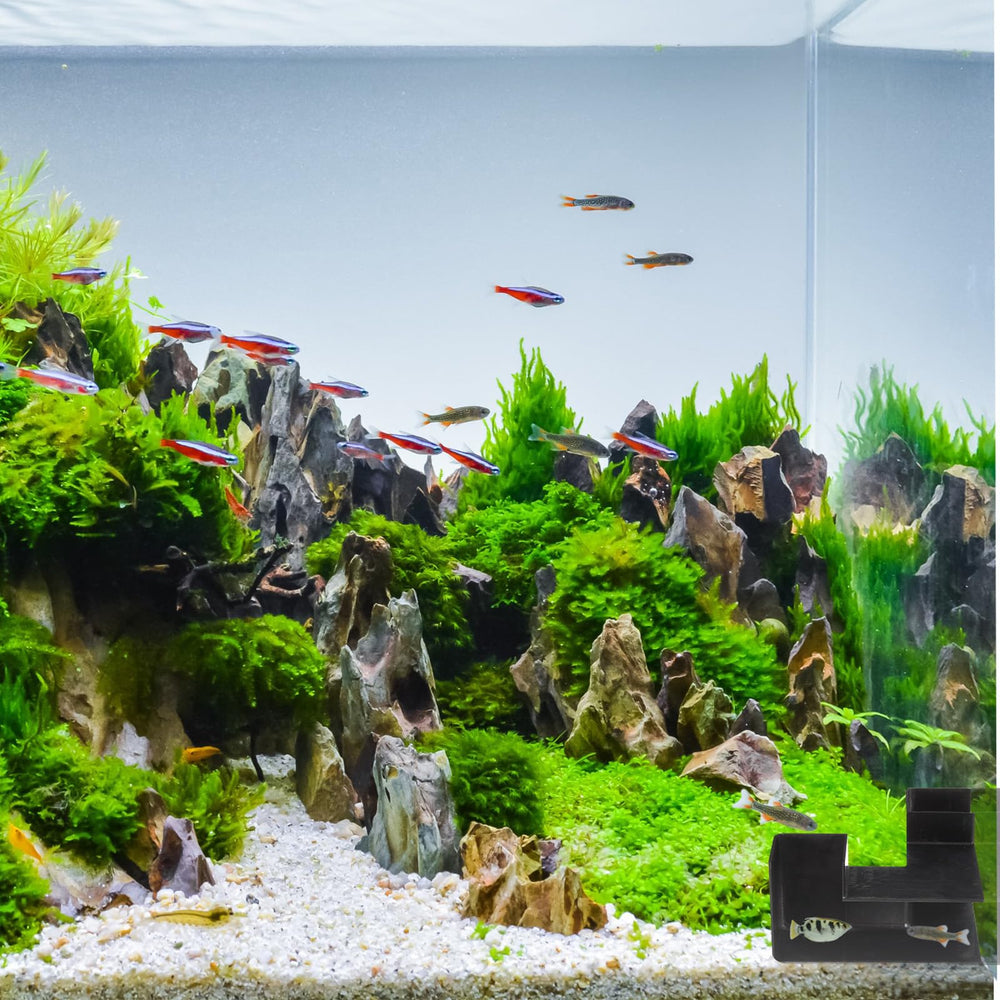 Nuanchu underground tunnel in tank adds exploration and privacy for aquatic pets.