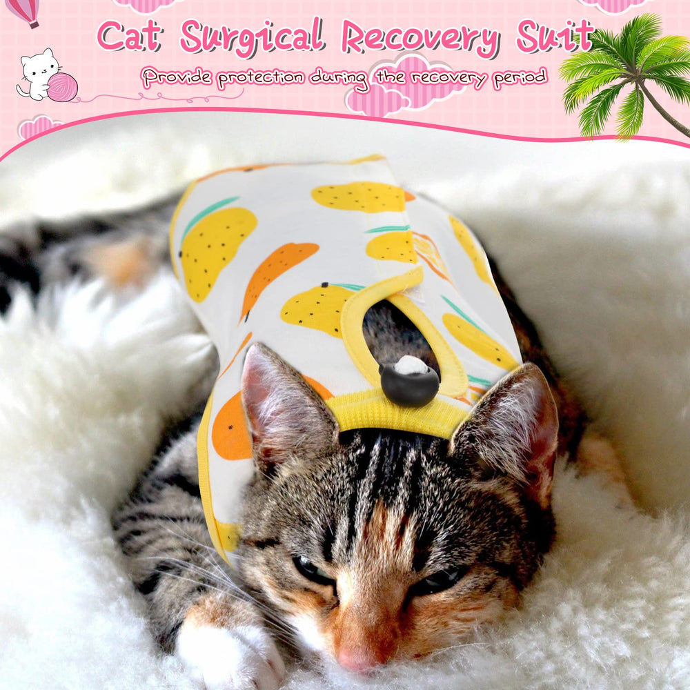 Nuanchu multicolor fruit-style cat suit highlights playful design while aiding recovery.