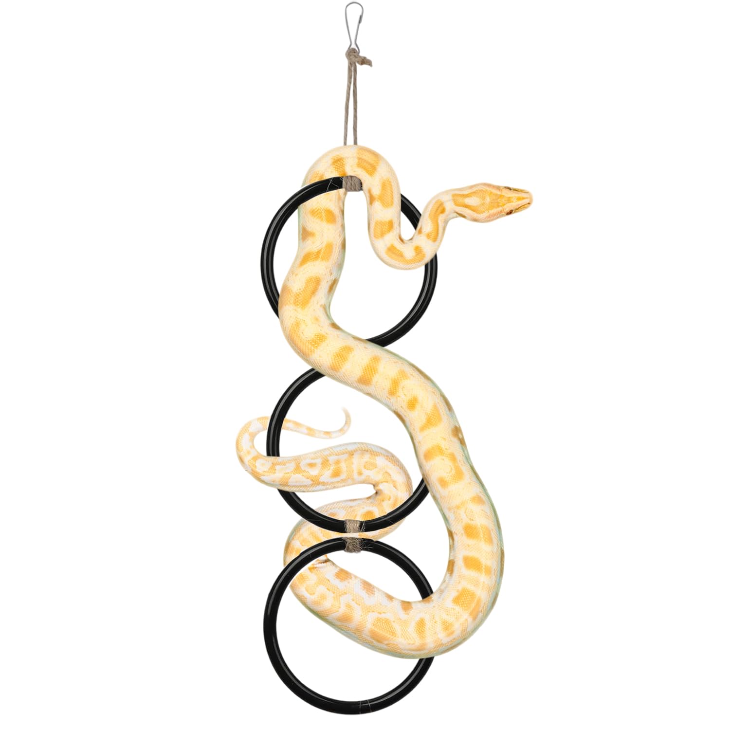 Nuburbur snake enrichment rings in use with ball python for safe, engaging exploration
