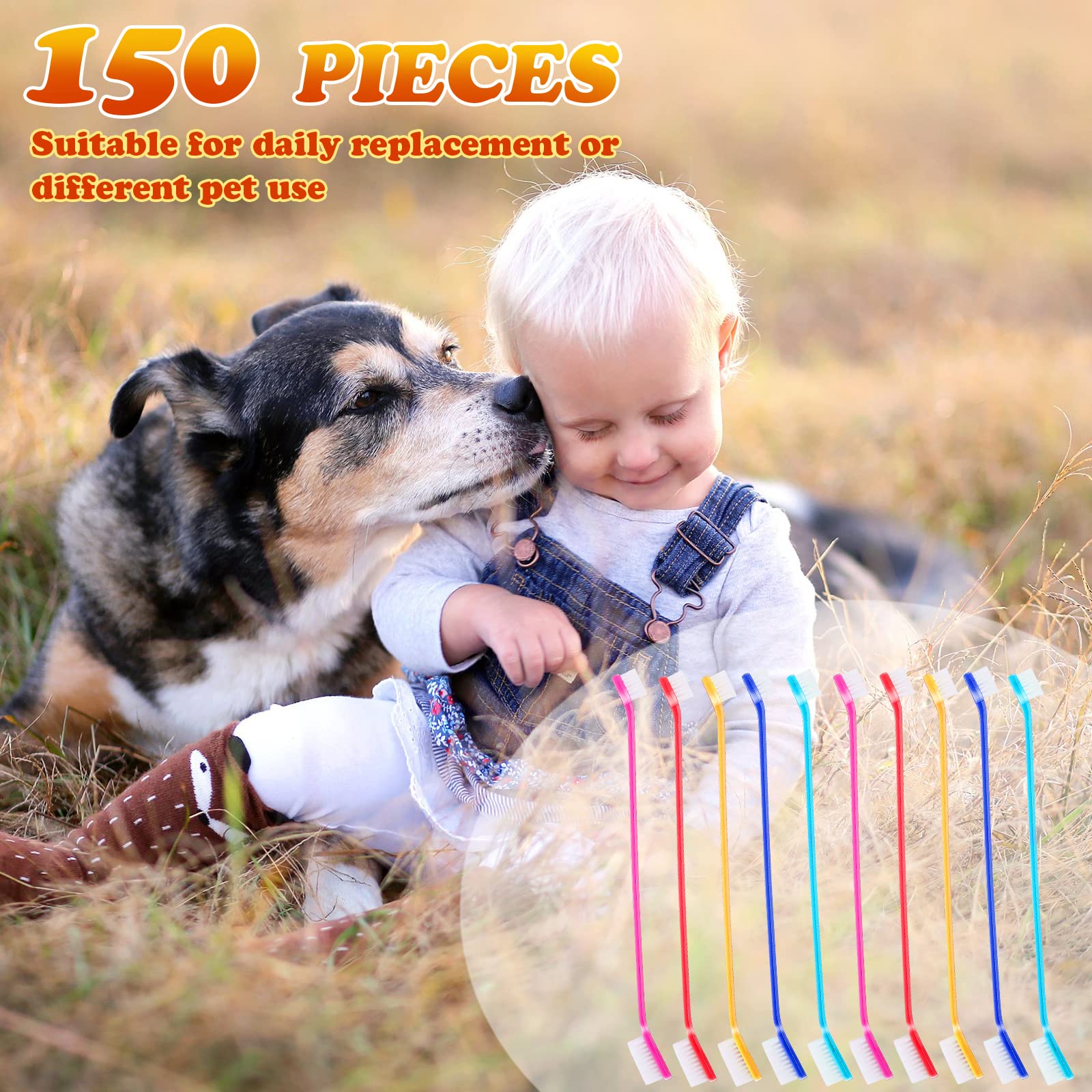 Nuenen bulk toothbrushes offer value and consistent supplies for multi-pet households