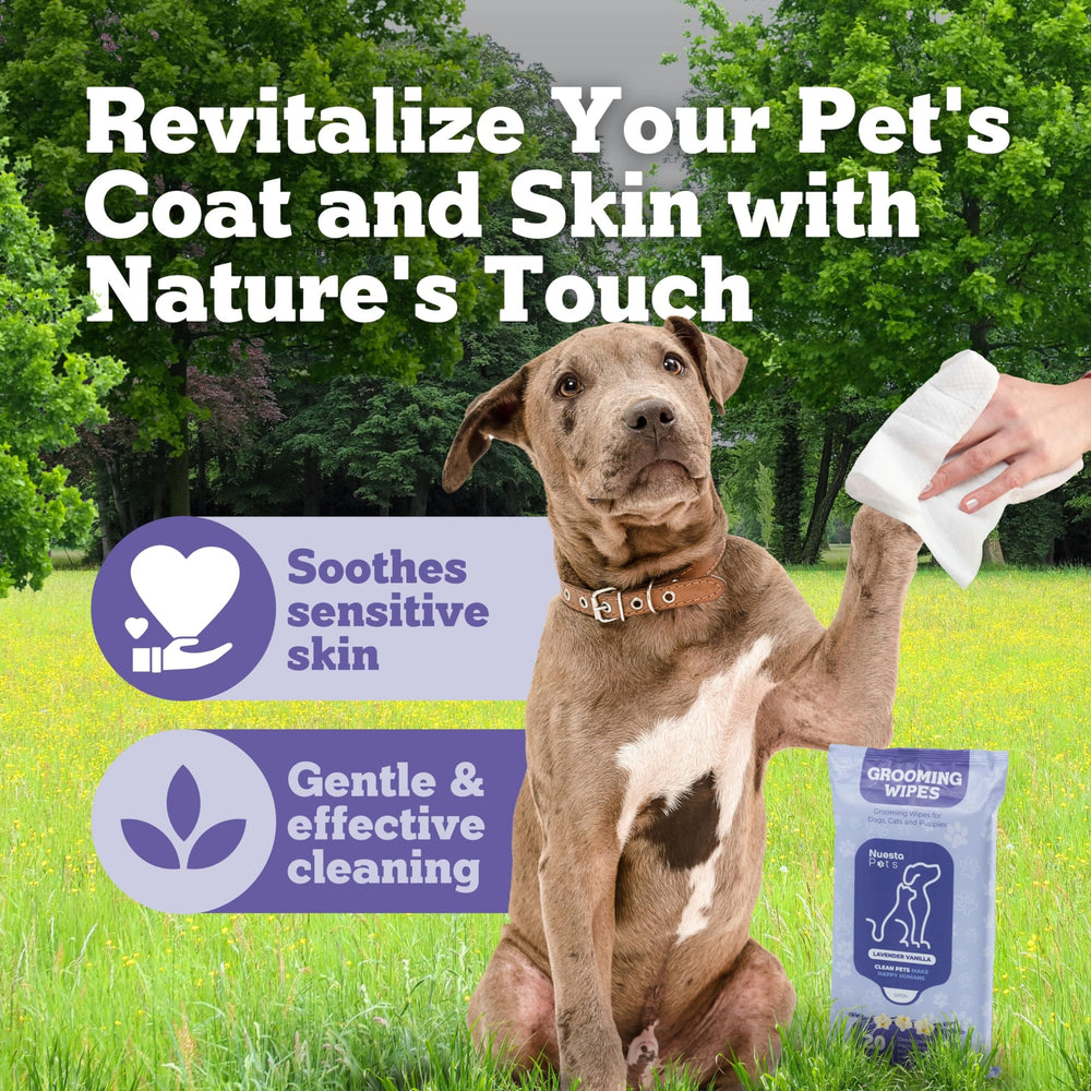 Nuesta Pets XL Lavender Vanilla wipes deodorizing scent—fresh aroma after walks.