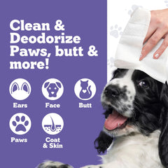 Nuesta Pets XL Lavender Vanilla wipes usage—quick paw and face cleanups.