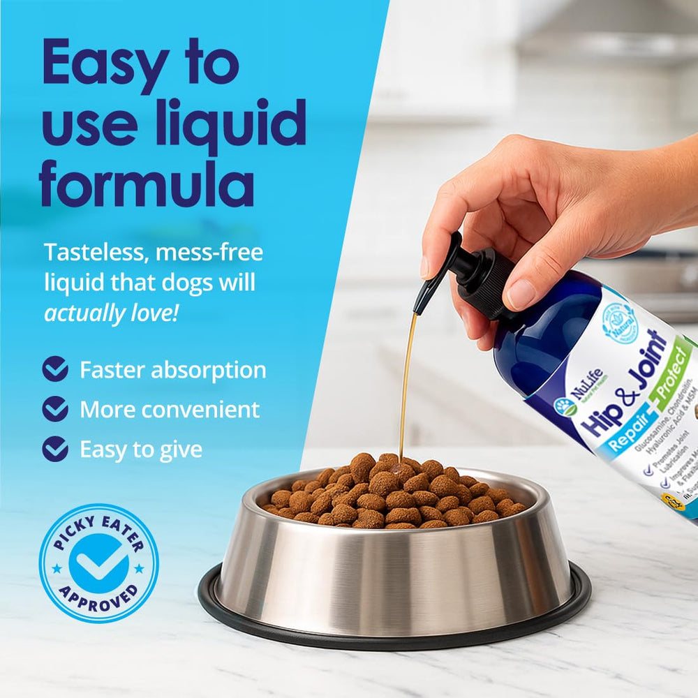 NuLife dog joint support bottle open with pump demonstrates simple usage.