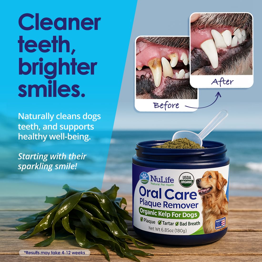 NuLife USA-packaged dental powder label highlights safety and local production.