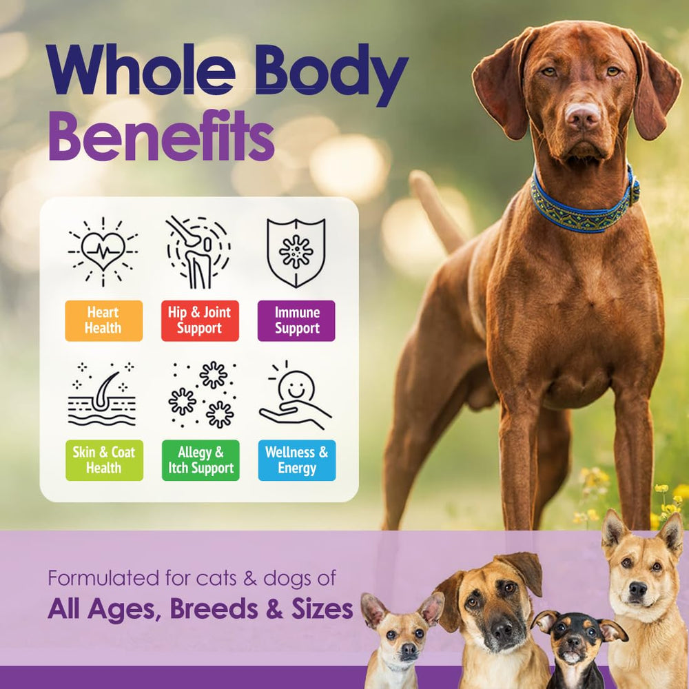 NuLife beef-flavor chews close-up entice dogs while delivering nutrition.