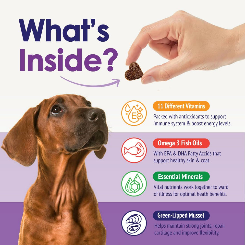 NuLife immune-support chews help maintain natural canine defenses.
