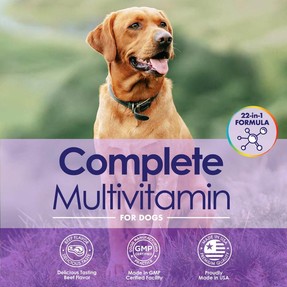 NuLife vitamins ingredients panel highlights 22 essential nutrients for daily support.