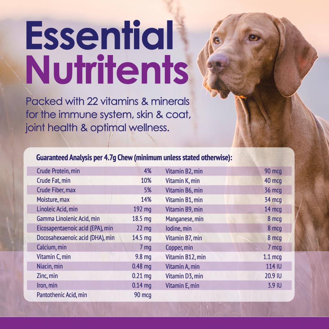 NuLife skin and coat benefits with omega fats for shine.