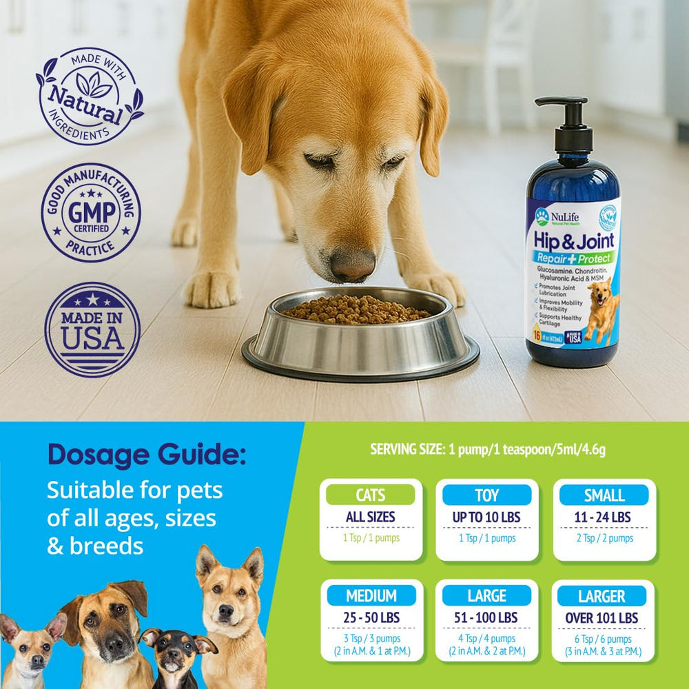 NuLife dogs age range infographic shows suitability for all sizes.