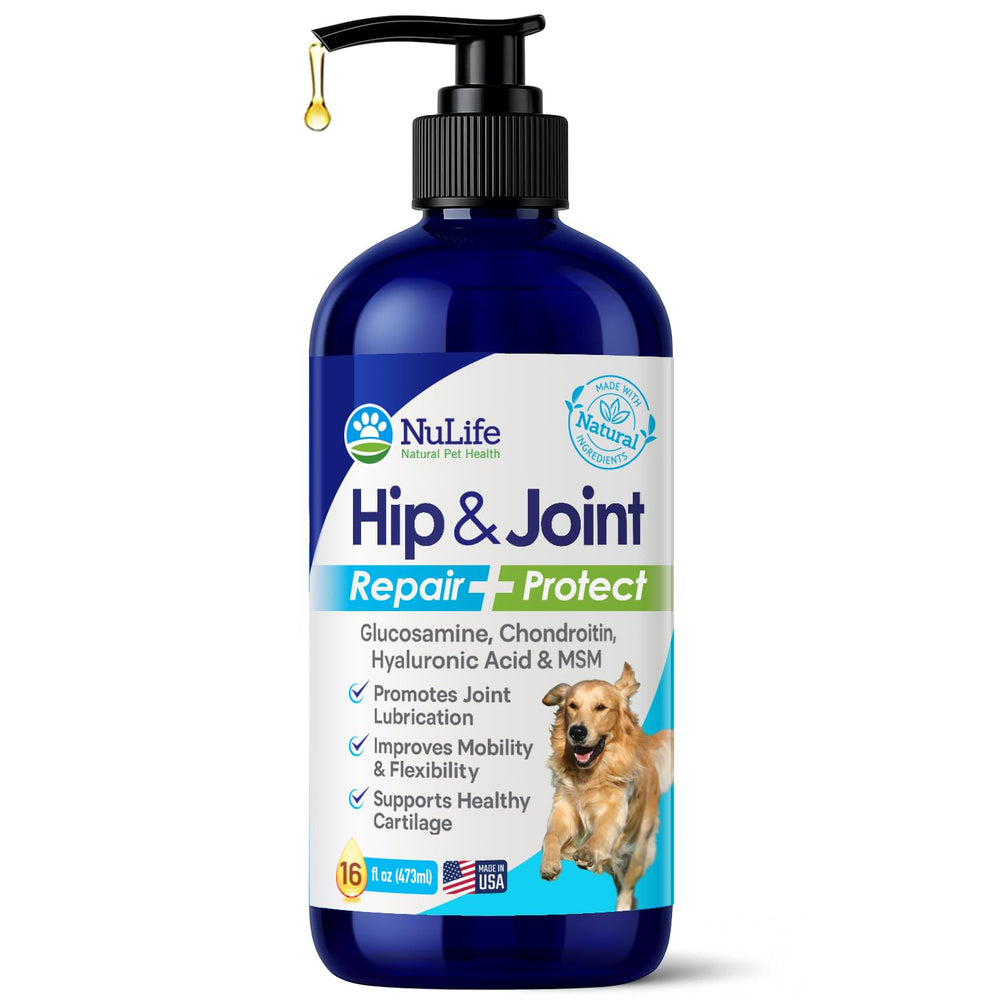 NuLife Liquid Glucosamine bottle with pump supports joint mobility for dogs.