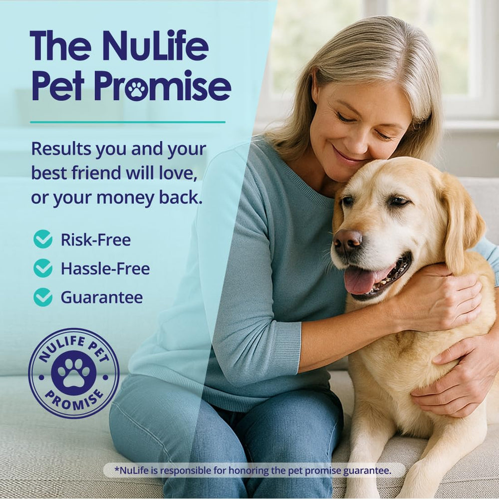 NuLife product safety image highlights mercury-free, toxin-free quality
