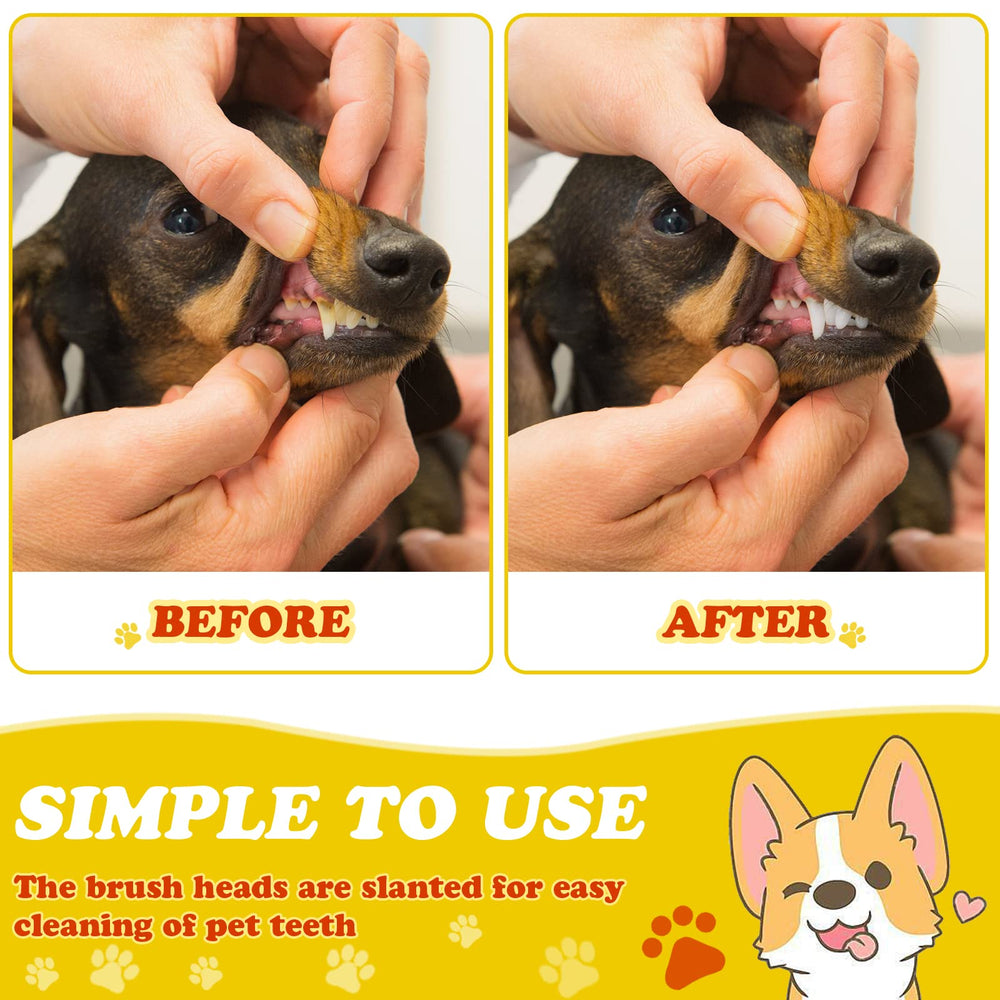 Nuogo suitable for dogs, cats, puppies and kittens in one kit