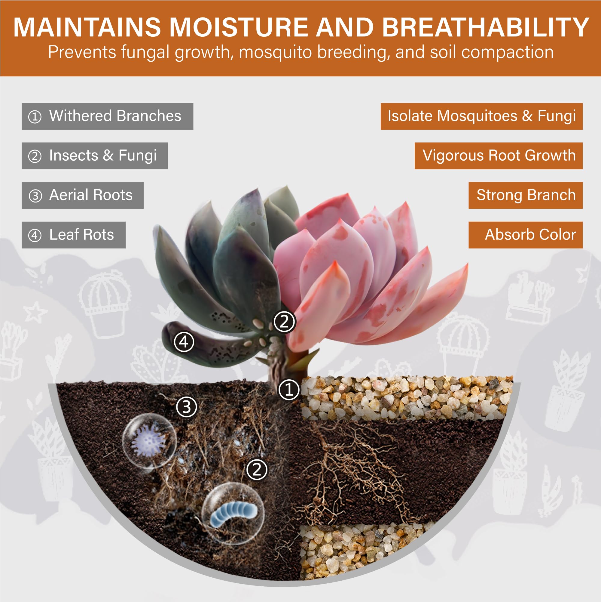 NUPICK succulent desert sand 1-3mm enhances drainage and root stability