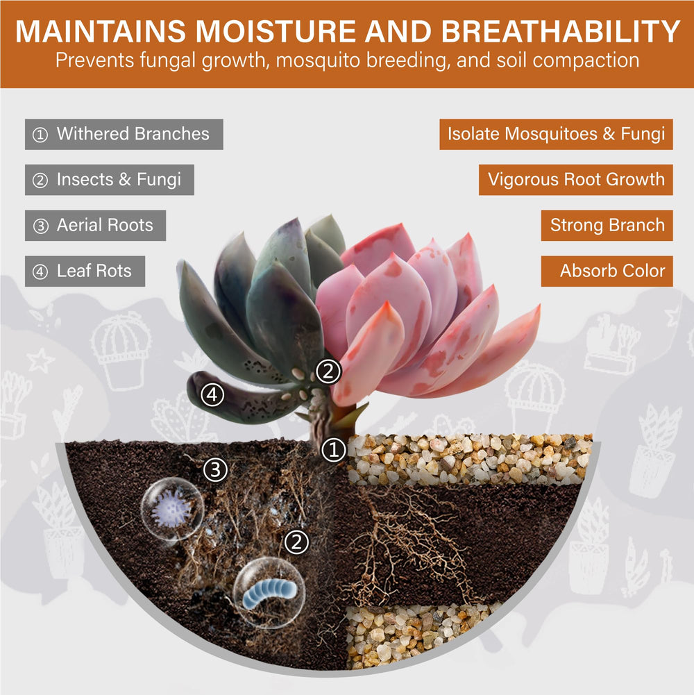 NUPICK succulent desert sand 1-3mm enhances drainage and root stability