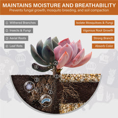 NUPICK succulent desert sand 1-3mm enhances drainage and root stability