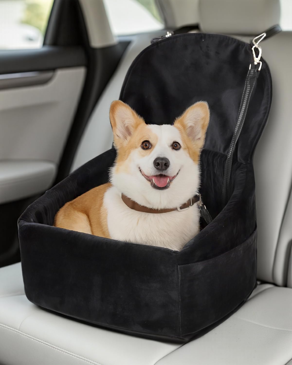 NUPIDA dog car seat with seatbelt loops stability for safe family trips