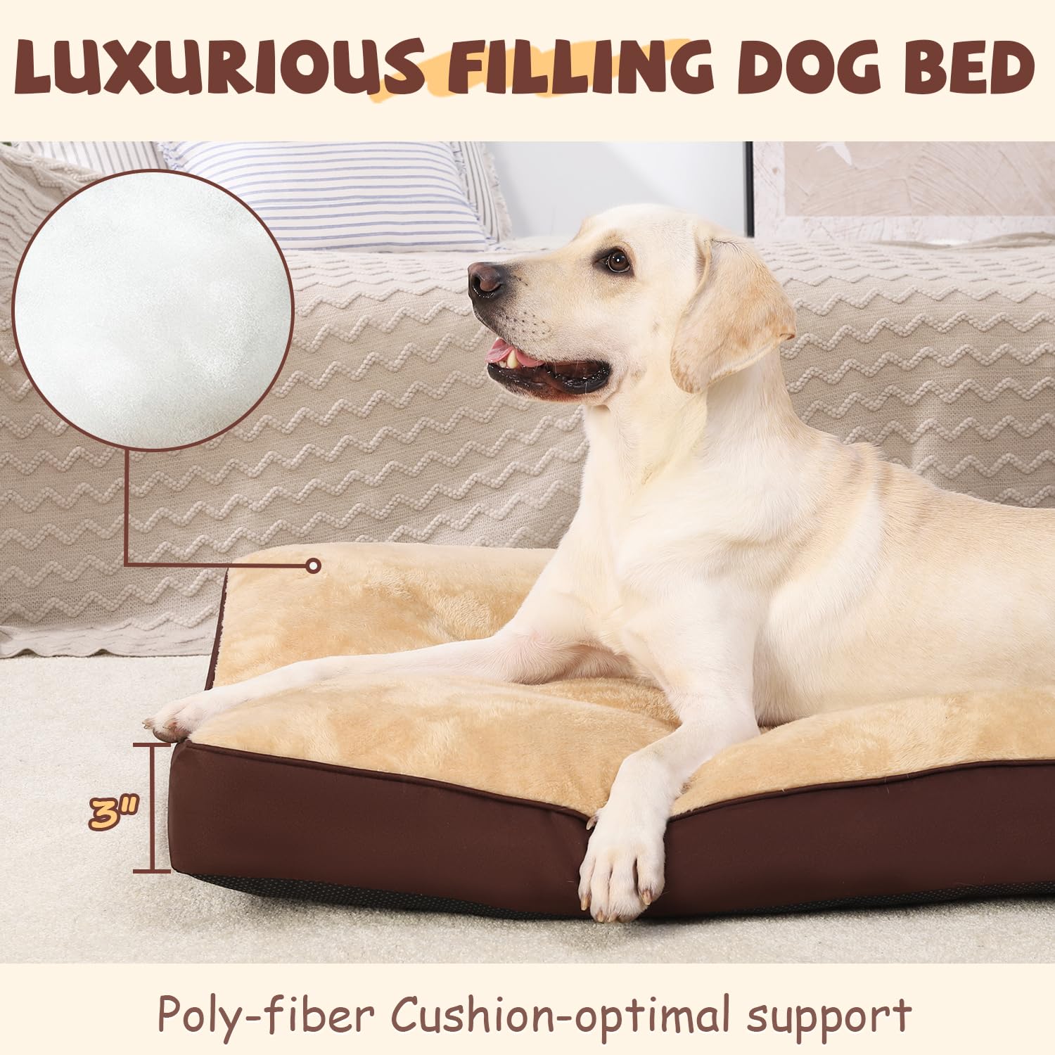 NUPIDA dog crate bed 3-inch polypropylene fill supports joints during lounging