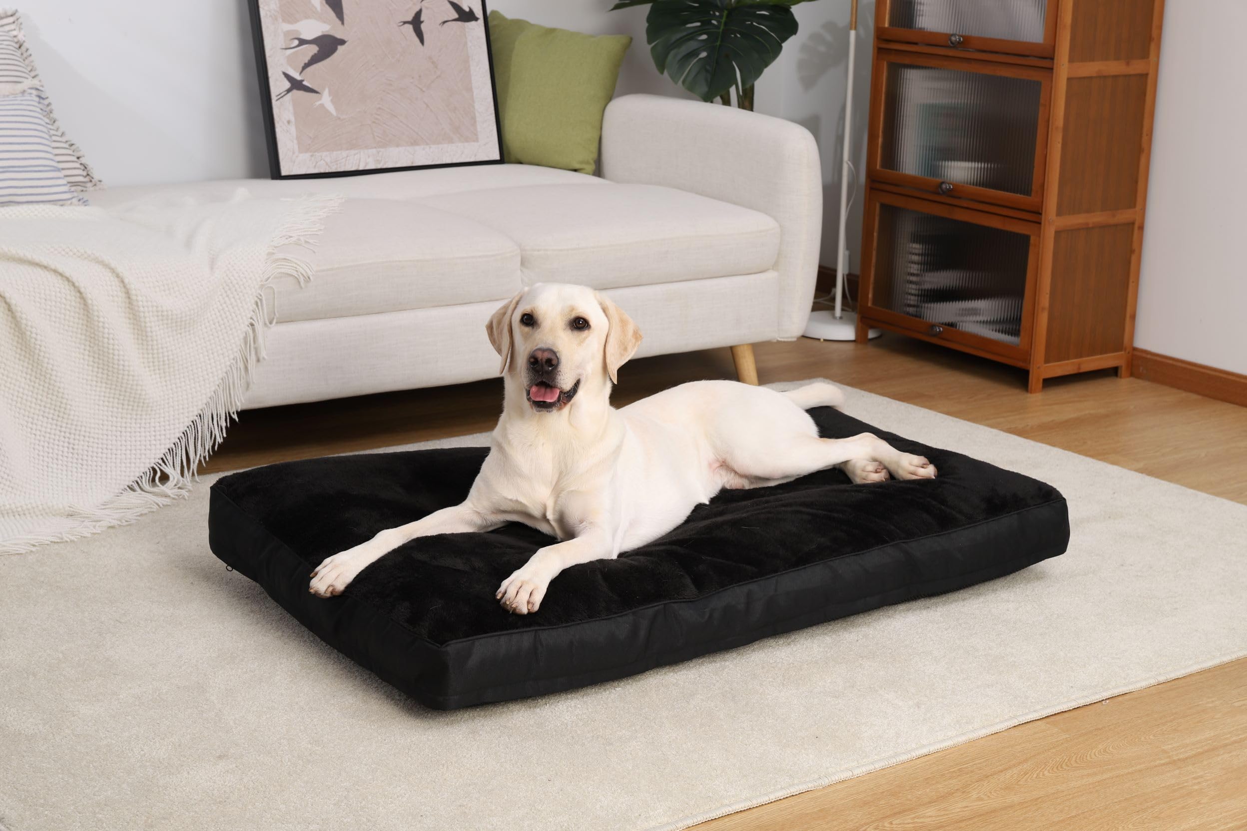 NUPIDA dog crate bed dimension 35x22x3 image shows roomy fit for mid-size dogs.