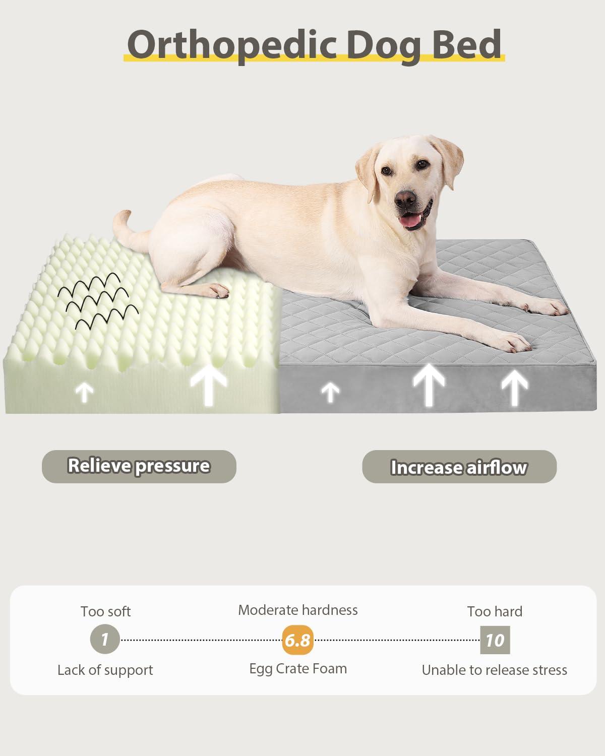 NUPIDA orthopedic dog bed quilted velvet offers soft, cozy lounging