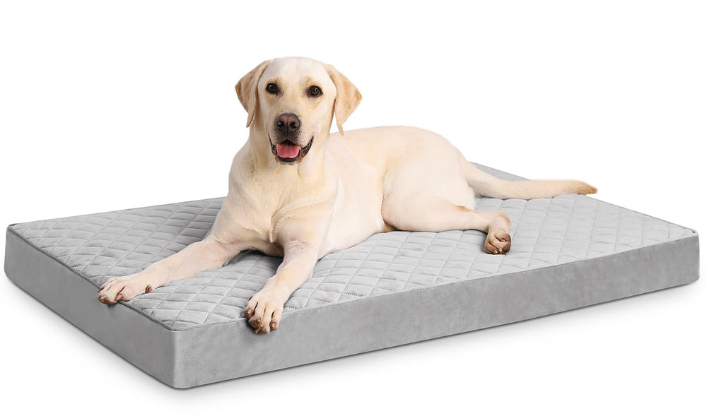 NUPIDA Orthopedic XL Dog Bed removable cover detached for easy cleaning