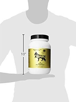 Nupro skin health and itch relief visual suggests seasonal comfort for dogs.