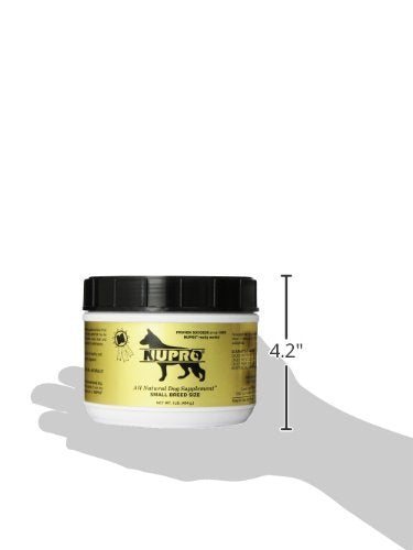 Nupro small-breed use-case image showing active and senior dogs benefiting.