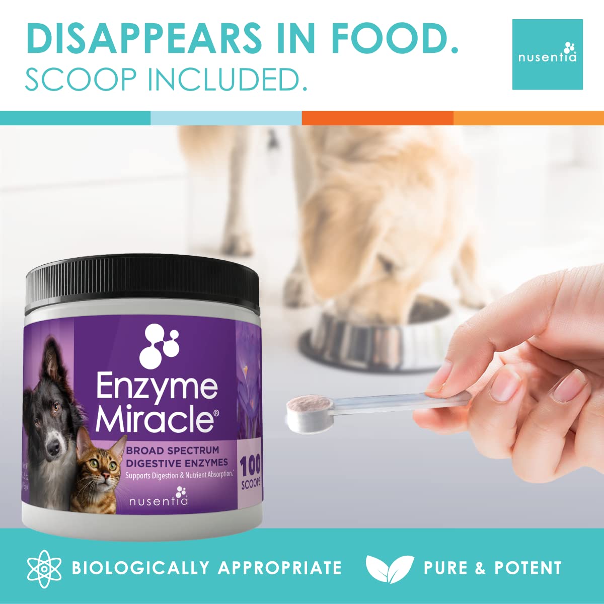 NUSENTIA Enzyme Miracle mixing into a pet meal for seamless integration.