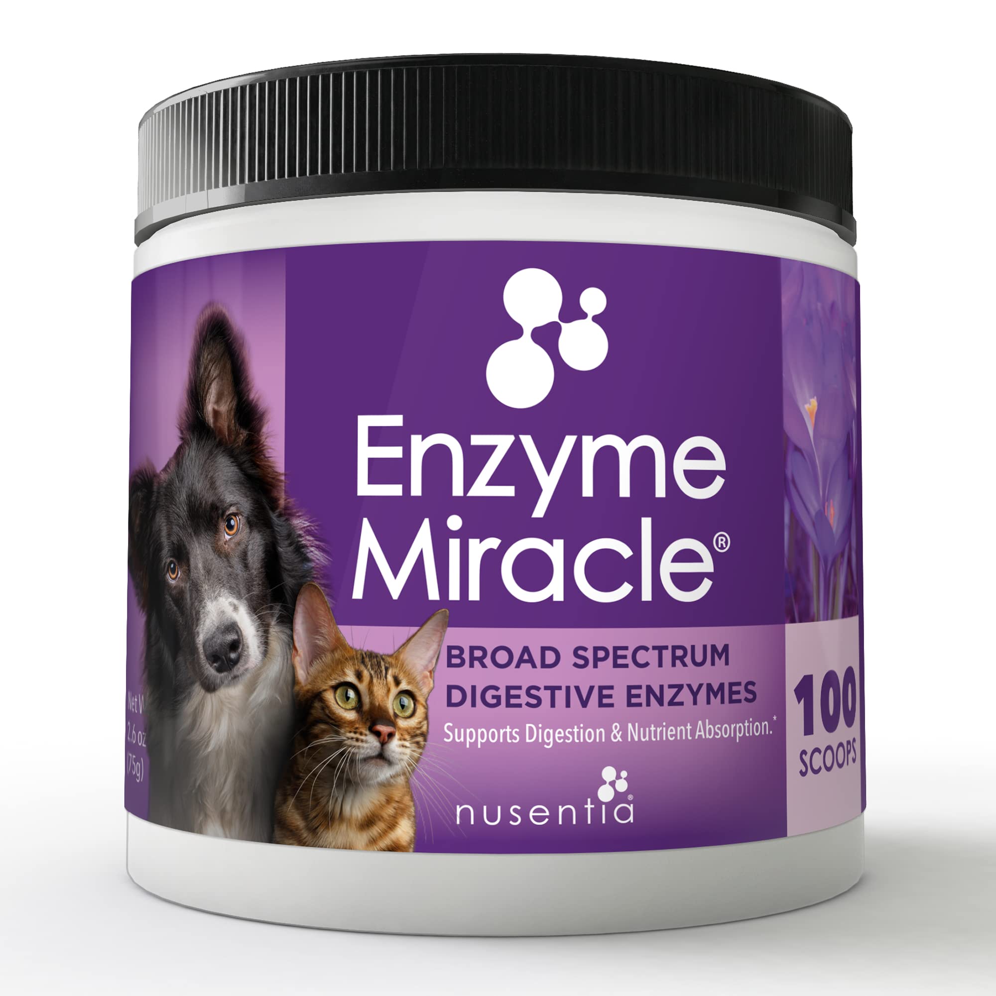 NUSENTIA Enzyme Miracle powder in food supports digestion and reduces digestive stress for pets.