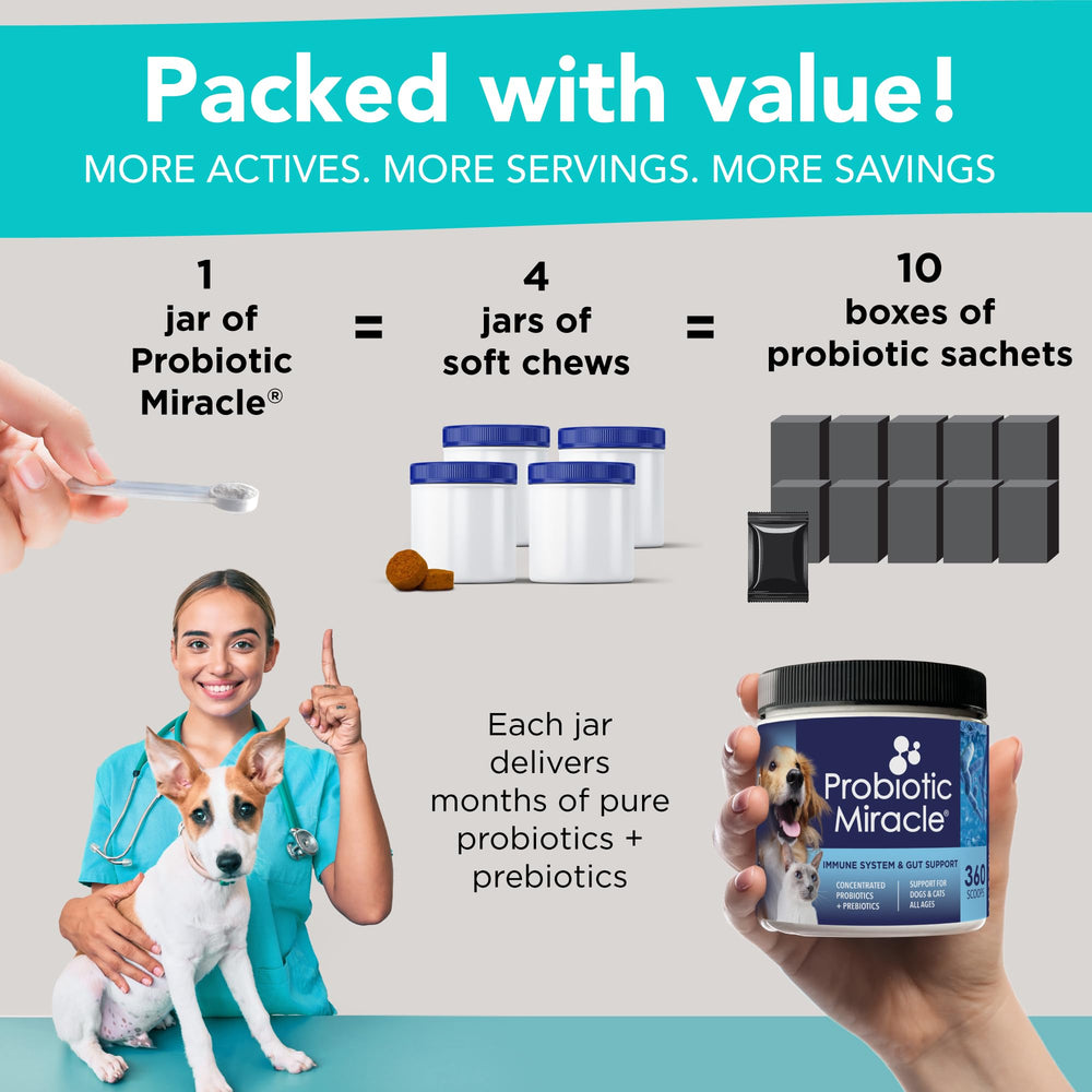 Nusentia Probiotic Miracle dog-serving-dusting-food demonstrates easy sprinkle-on use.