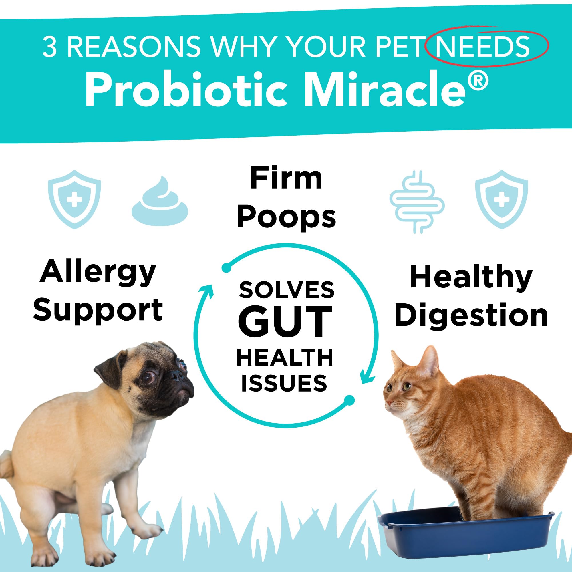 Nusentia Probiotic Miracle jar 360-scoop shows ample supply for large dogs or multi-pet homes.