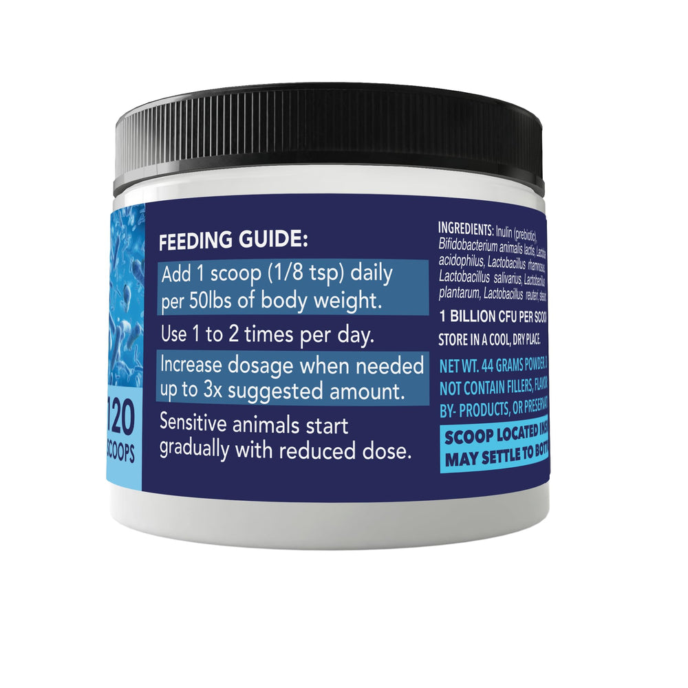 NUSENTIA Probiotics made in USA assurance of quality.