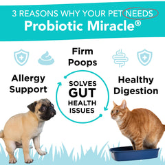 NUSENTIA Probiotics premeasured scoop shown for easy daily dosing in pets to support digestion.