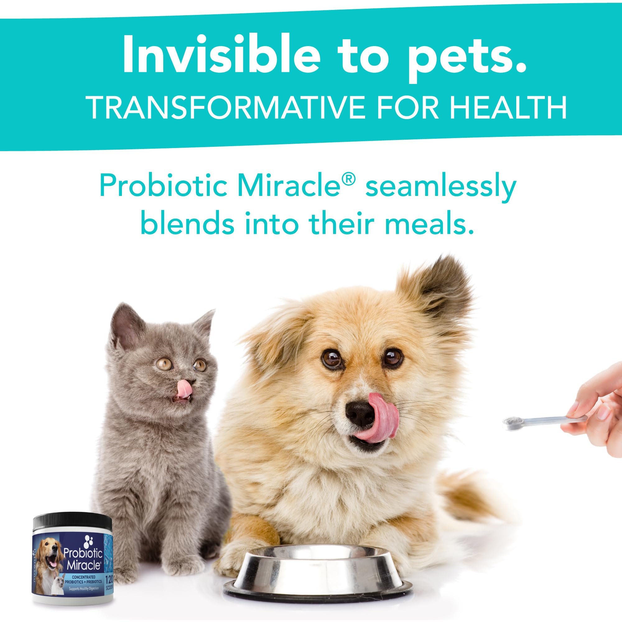 NUSENTIA Probiotics label highlights vet science-backed gut health.