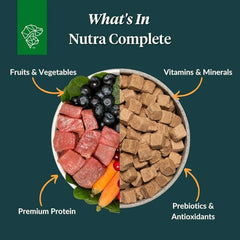 Nutra Complete Bone Broth Infusions morsels sprinkled on dog bowl for protein boost.