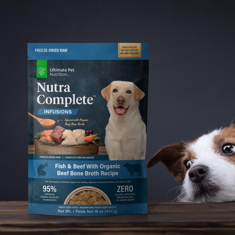 Nutra Complete Bone Broth Infusions mixer enhances dog's dining experience.
