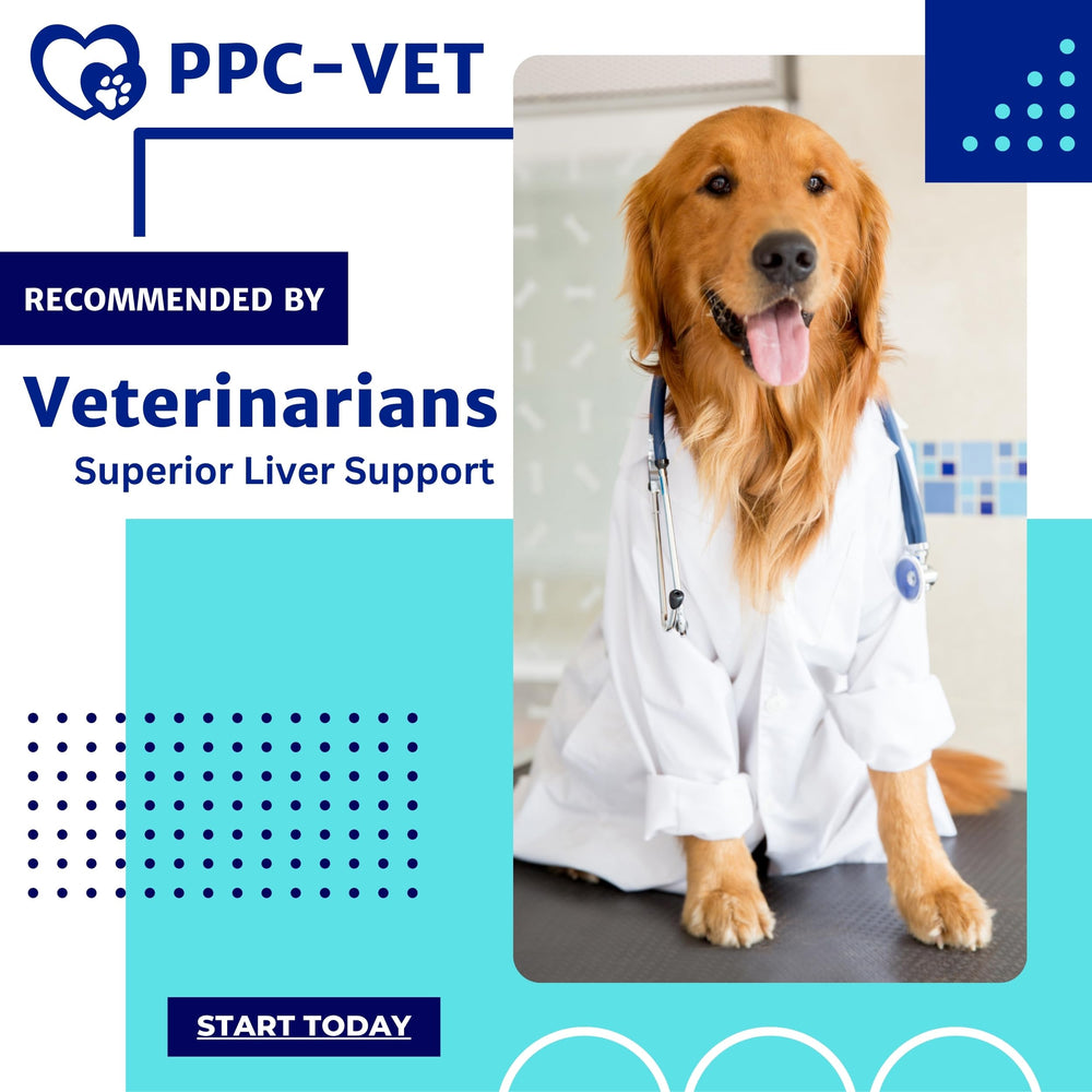 Nutrasal PPC-Vet-cat-silhouette-all-sizes indicates compatibility with all sized pets and general wellness