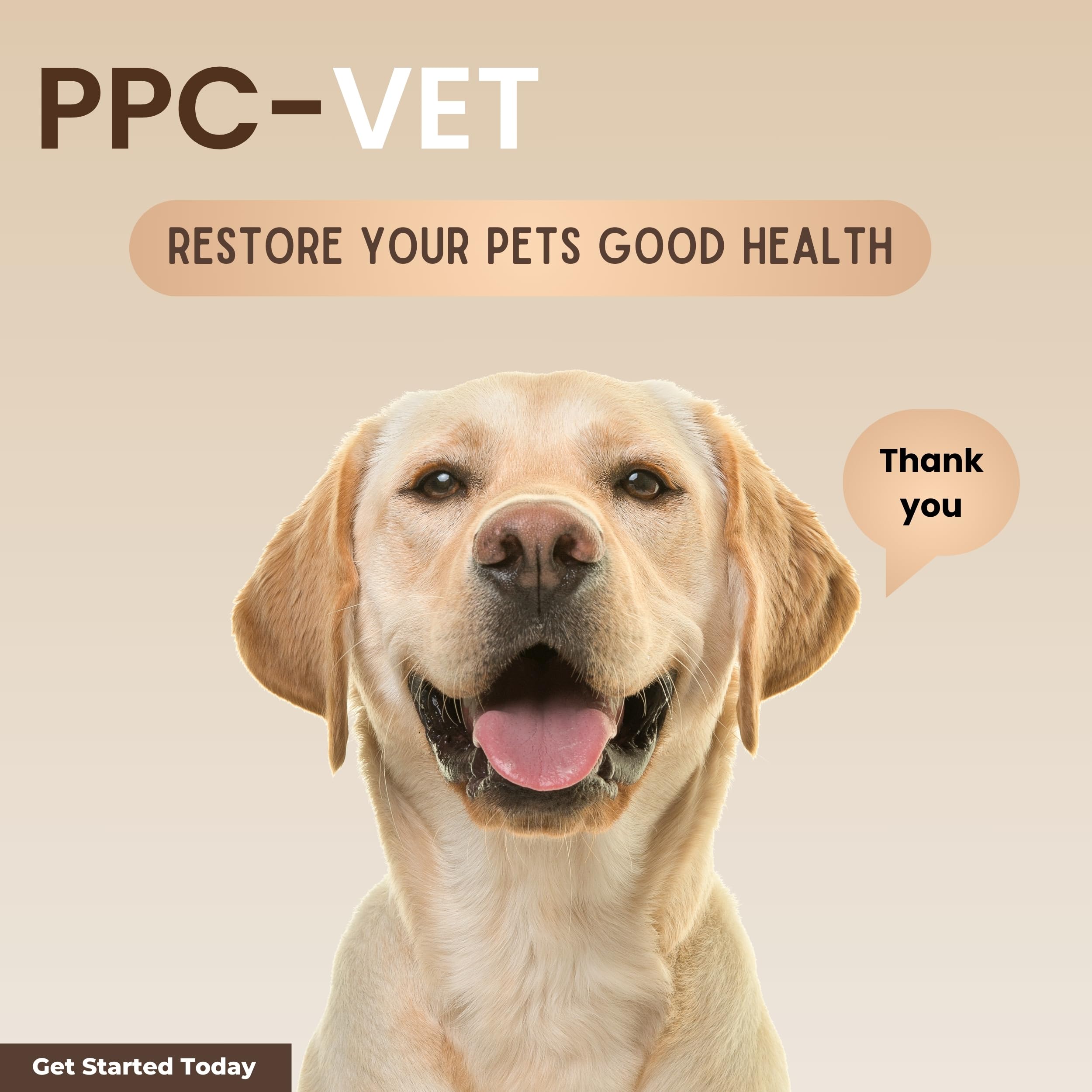 Nutrasal PPC-Vet-health-illustration emphasizes foundational wellness from PPC