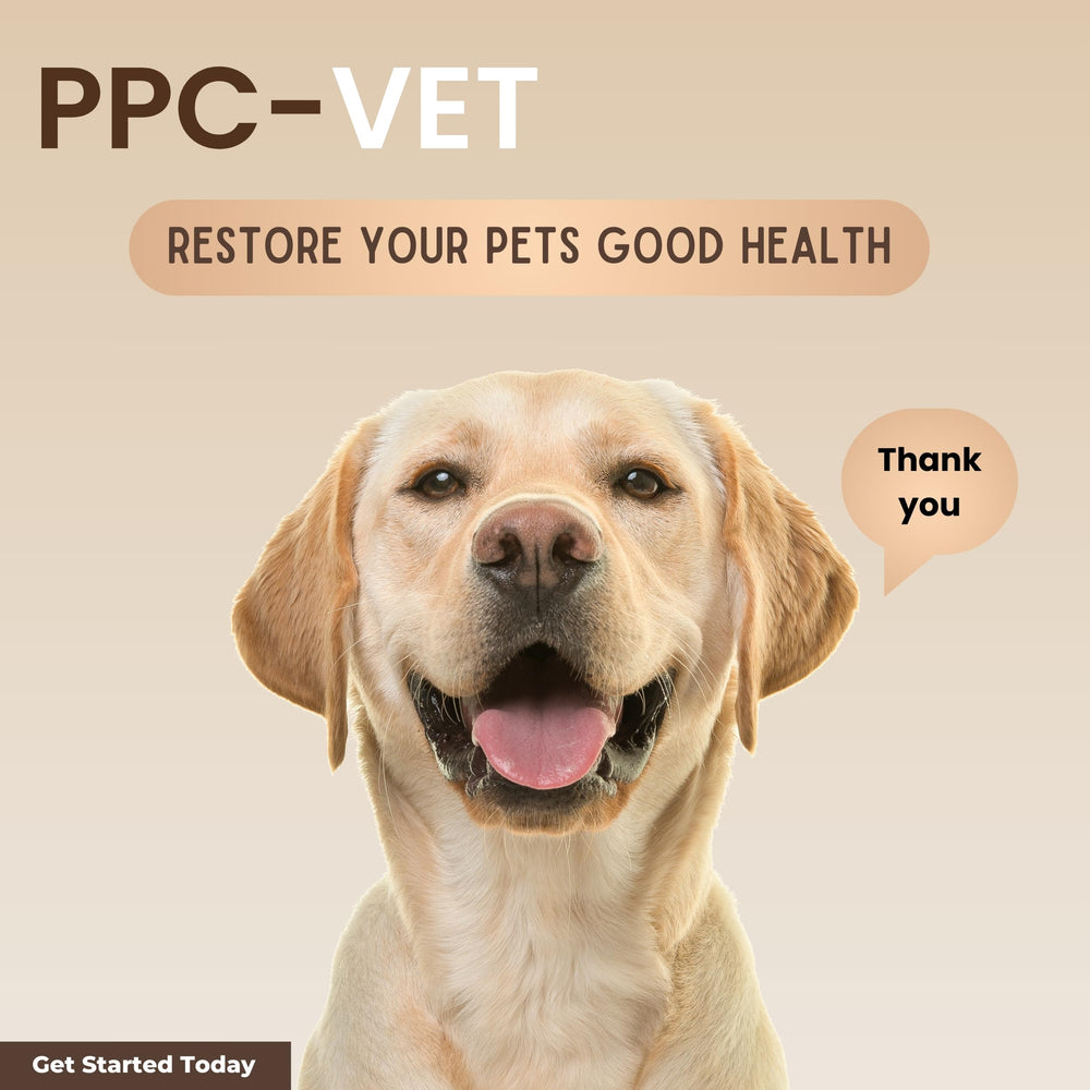 Nutrasal PPC-Vet-health-illustration emphasizes foundational wellness from PPC