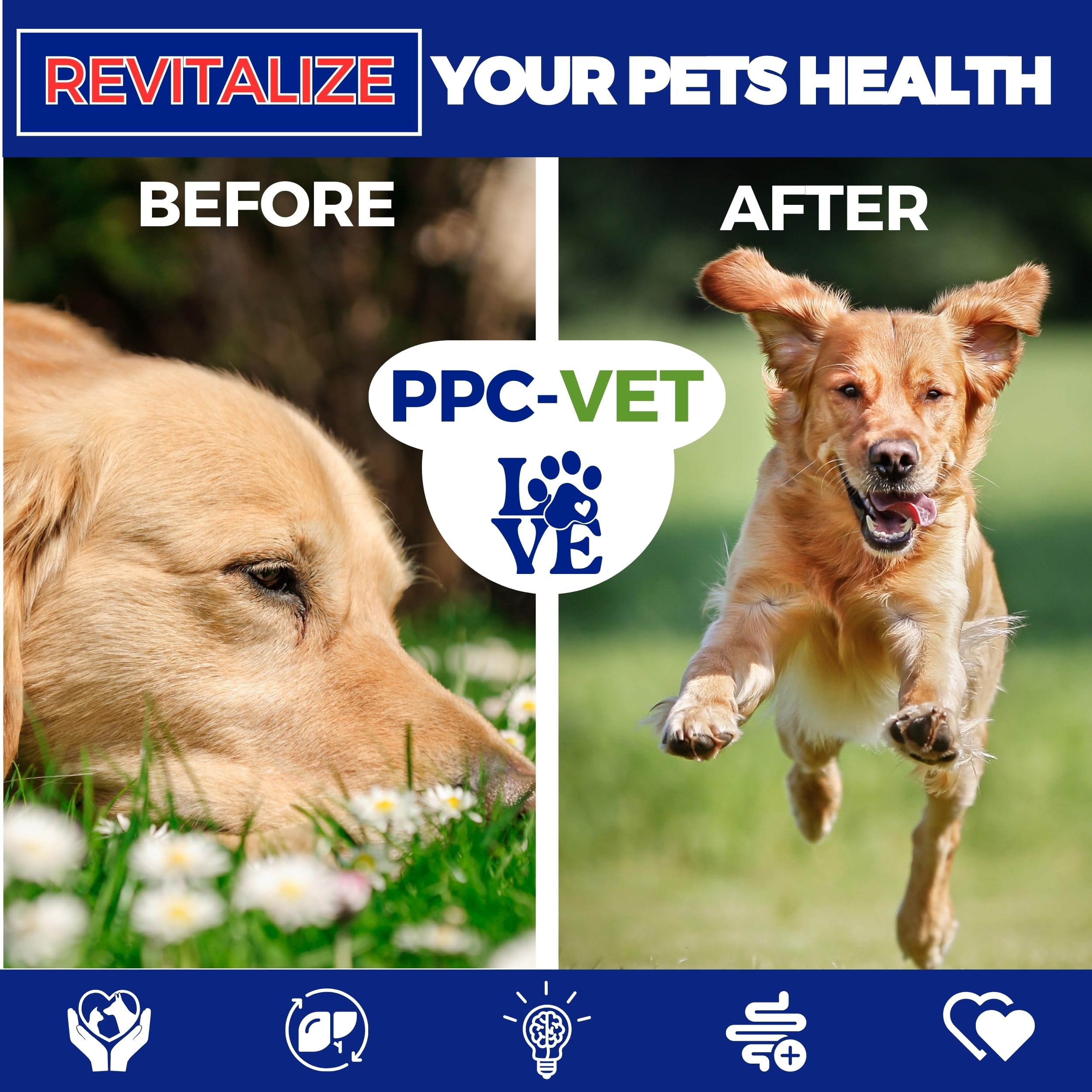 Nutrasal PPC-Vet-pump-dispense demonstrates precise serving for liver-support routines