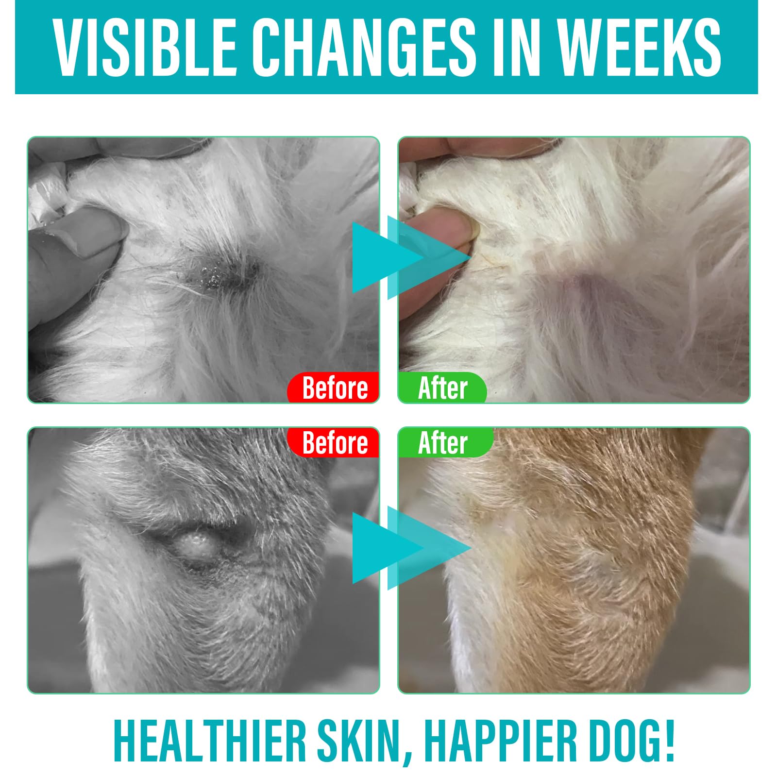 Immunity-supporting Nutravita lipoma treatment for dogs and cats.